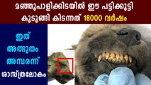 18,000 year old frozen puppy leaves scientists baffled | Boldsky Malayalam
