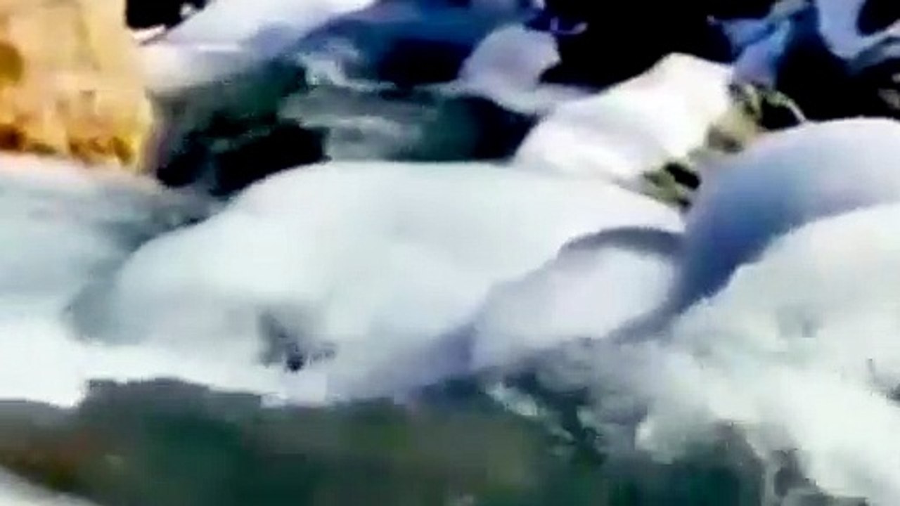 काजा का न्यूनतम तापमान पहुंचा माइनस 18 डिग्री,...