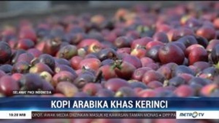 Kopi Arabika Khas Kerinci