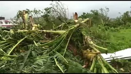 Tải video: El tifón Kammuri provoca importantes destrozos a su paso por Filipinas