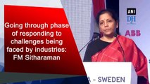 Going through phase of responding to challenges being faced by industries: FM Sitharaman