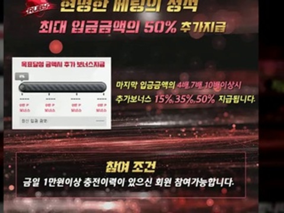 RUBY 방패루비★★ RUBY 방패루비