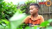 Dang Van Khuyen : ce petit garçon Vietnamien de 10 ans travaille et mange seul depuis la mort de ses parents