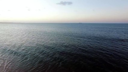 Horizon View - David Terry, Teacher