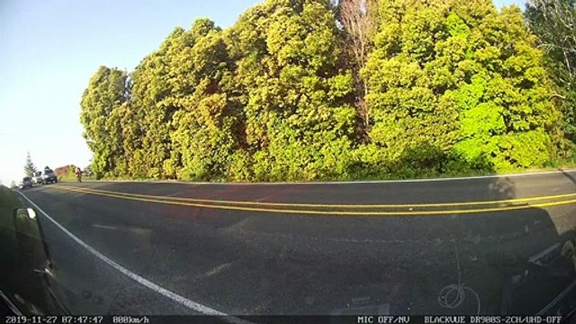L’autoroute A33 au Pays de Galles a été fermée pendant des heures à cause de cette vache errant sur la route.