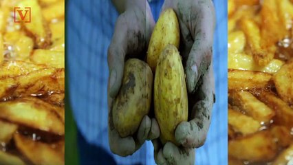 Possible French Fry Famine Have Farmers in a Frenzy