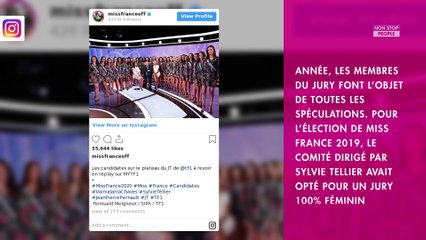 Miss France 2020 : Vitaa, Laëtitia Milot, Denis Brogniart... Le jury dévoilé