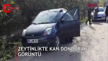 Kan donduran görüntü! Zeytin toplamaya giderken fark ettiler