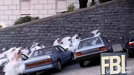 اهضم عرسان واجمل عرس سوري في سويسرا. اجمل الاعراس EP12