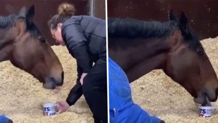 Police Horse Refuses To Get Out Of Bed For Work Without A Cup Of Tea | Oneindia Malayalam