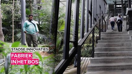 Deze fabriek is geweldig voor de werknemers