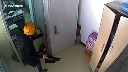 Chinese man arrested after attempting to rob bank with axe