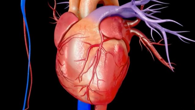 bd-peligro-de-la-taquicardia-031219