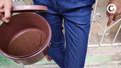 Mulher procura a polícia após tomar café envenenado