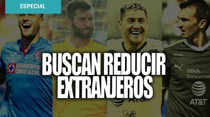 Andrés Fassi sugiere una reducción de extranjeros