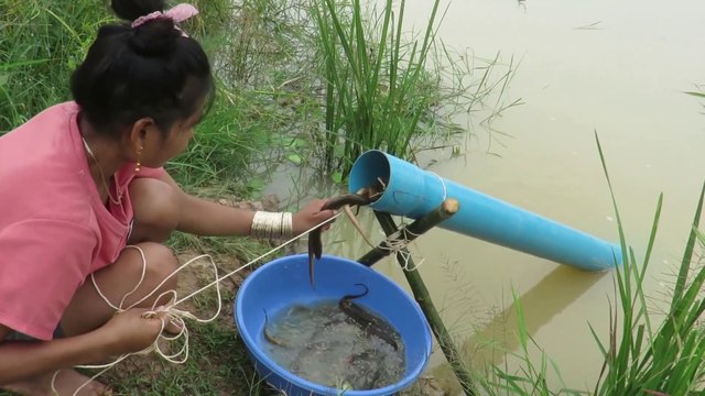 Believe This Fishing Unique Eels Trapping System Make From PVC New Technique Of Beautiful Girl 6S_R