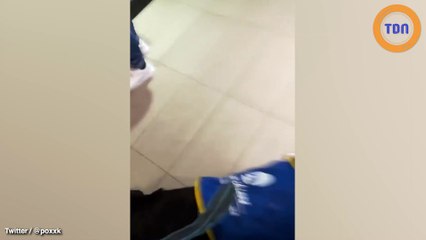 Une personne handicapée et son chien d’assistance refusés à l’entrée d’une Fnac