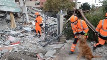 ألبانيا: زلزال مدمر يضرب البلاد