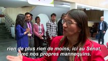 Défilé de mode d'ex-rebelles des FARC au Sénat de Colombie