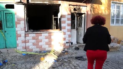 Yanan evde bulunan 5 kedi yavrusu korumaya alındı