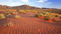 Woman Survives 12 Days in the Australian Outback by Boiling Water, Drinking Vodka Mixers, and Eating Biscuits