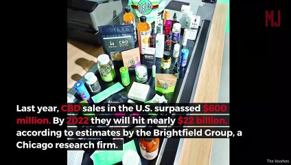 Does CBD Live Up To The Hype?