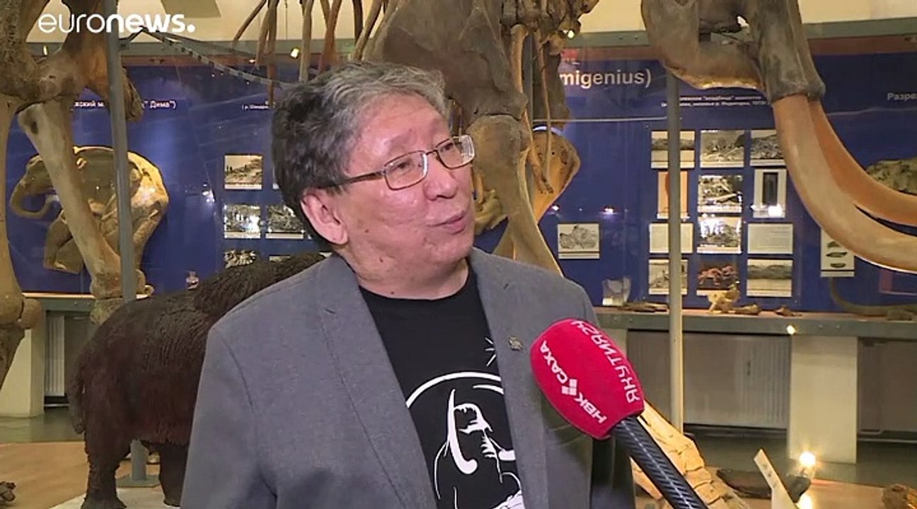 Sensationsfund in sibirien: 18000 jahre im permafrost konserviert