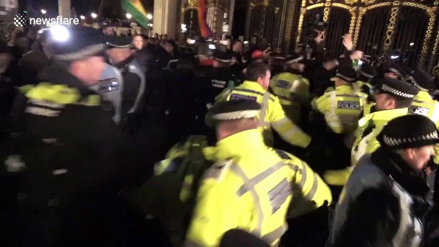 Punches thrown in scuffle outside Buckingham Palace as NATO leaders meet Queen