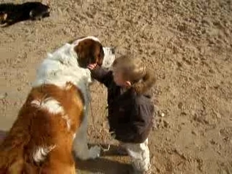 Je promene mon petit chien