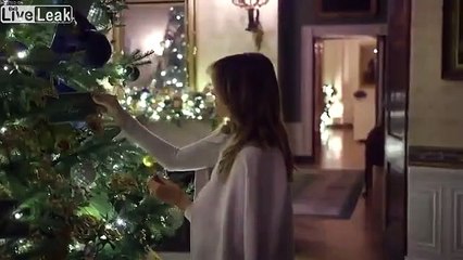 Décorations de noel à la maison blanche par Melania Trump !