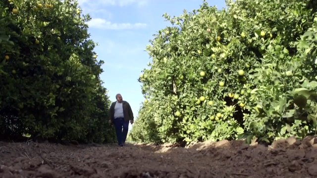 El Mar Menor en España se ahoga por los nutrientes