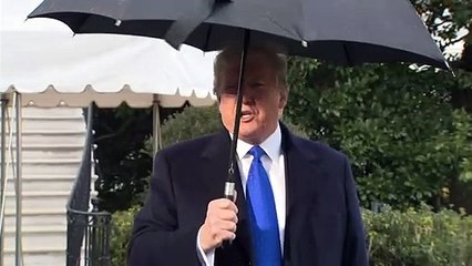 'Provas contundentes'