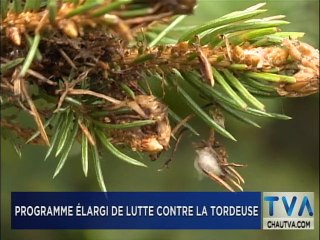 3 décembre TVA Nouvelles 12H CHAU
