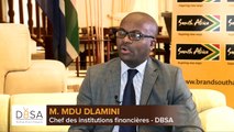 M. Mdu Dlamini, chef des institutions financières de la DBSA : 