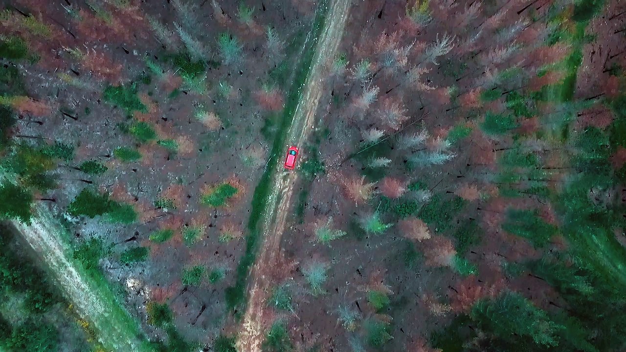Taryn Elliott - A Car Traveling - Nature (No Copyright Video 62) [4K]
