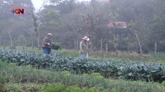 mqn-Ponga a Juank a Bretear- Hortalizas-031219