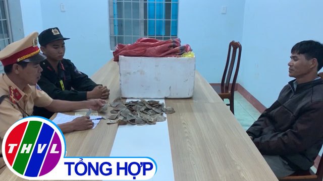 Phát hiện vụ vận chuyển đến 20kg vảy tê tê đi tiêu thụ