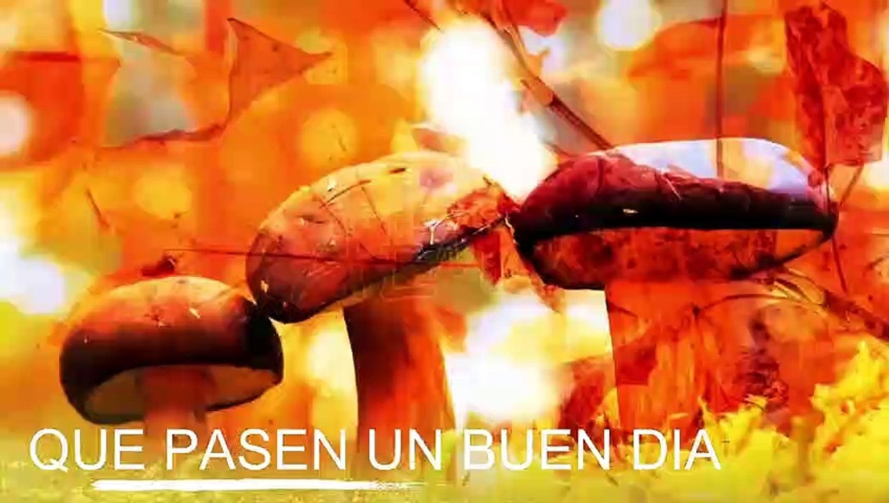 Conoce El Tiempo de Hoy Miércoles 04 de Diciembre de 2019