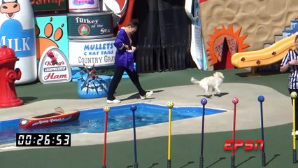 0015 - Pets Rule! One Last Time At SeaWorld San Diego