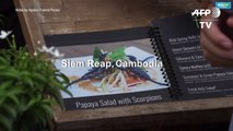 Cambodia 'bug cafe' serves up insect tapas