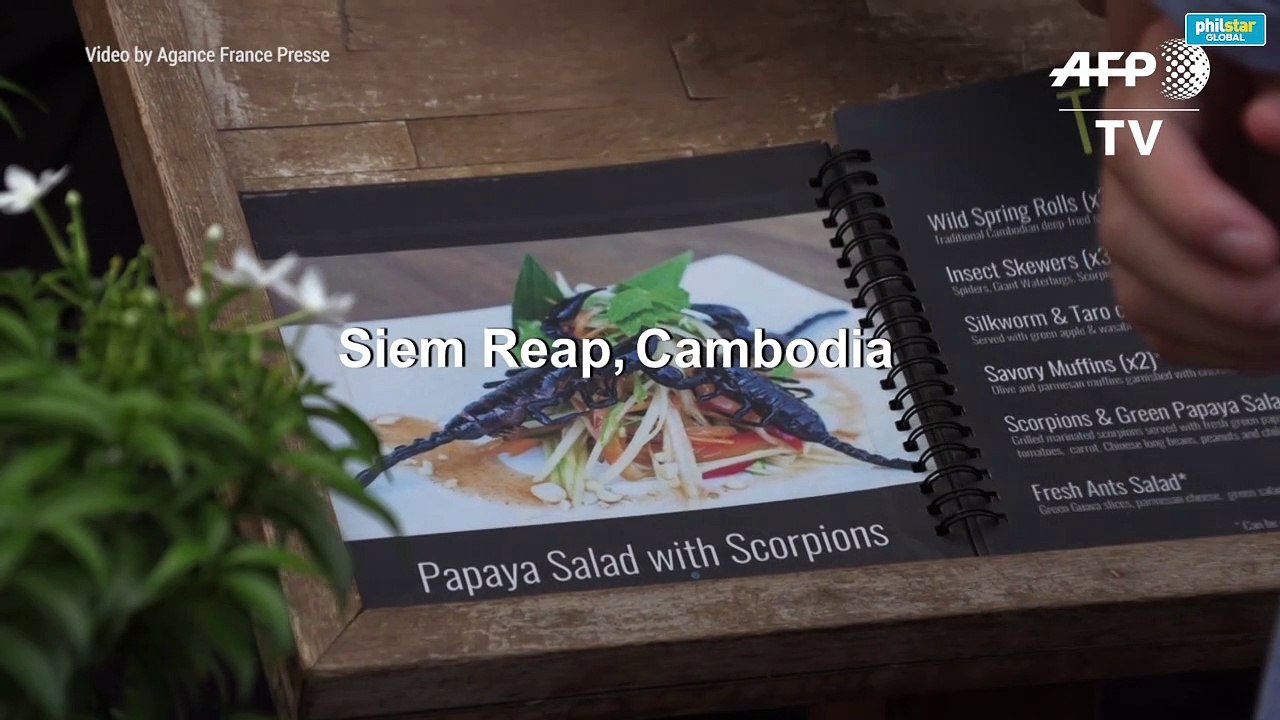 Cambodia 'bug cafe' serves up insect tapas