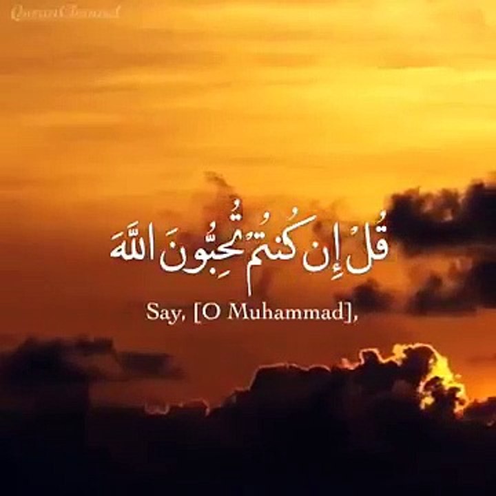 تلاوة صباحية __ قل إن كنتم تحبون الله فاتبعوني يحببكم الله  __ حالات واتس اب اسلامية دينية قران