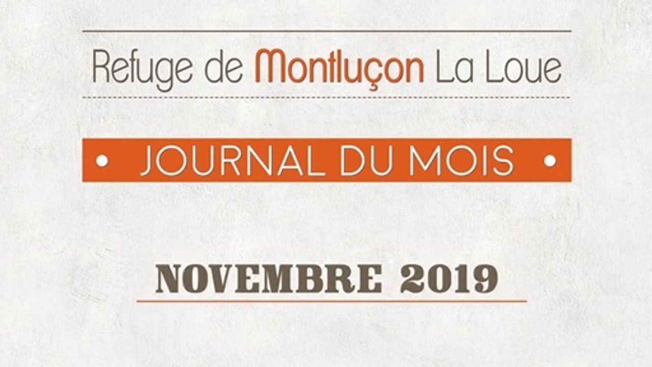 Un mois au refuge SPA de Montluçon : novembre 2019