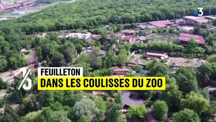 Dans les coulisses du zoo d'Amnéville
