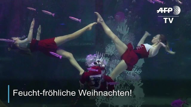 Nikolaus mit Nixen im Aquarium von Seoul