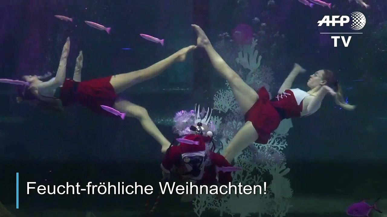 Nikolaus mit Nixen im Aquarium von Seoul