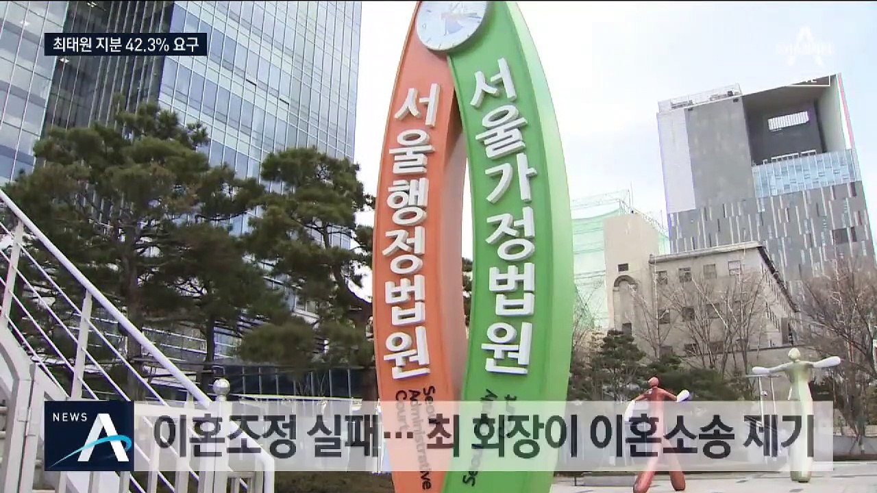 노소영, 최태원 상대 맞소송…재산분할도 요구