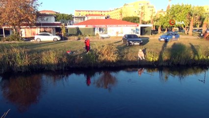 Oksijensiz kalan derede balıkların can çekiştiği anlar böyle görüntülendi