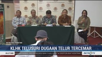 KLHK Telusuri Dugaan Telur Tercemar