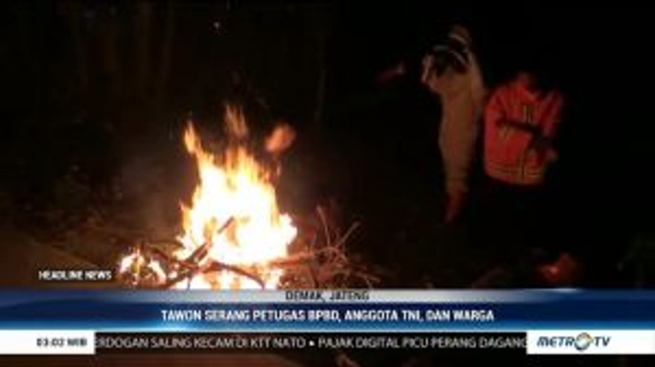 Resahkan Warga, Petugas Bakar Sarang Tawon Vespa di Beberapa Daerah